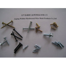 China screw manufacturer 2mm stainless steel self tapping screw